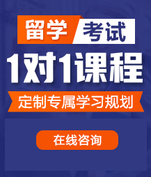 AV嗯啊鸡吧操嗯啊啊啊留学考试一对一精品课